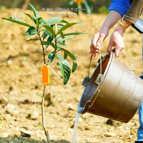 植绿于土，植德于心——双鸭山市实验学校学校植树活动