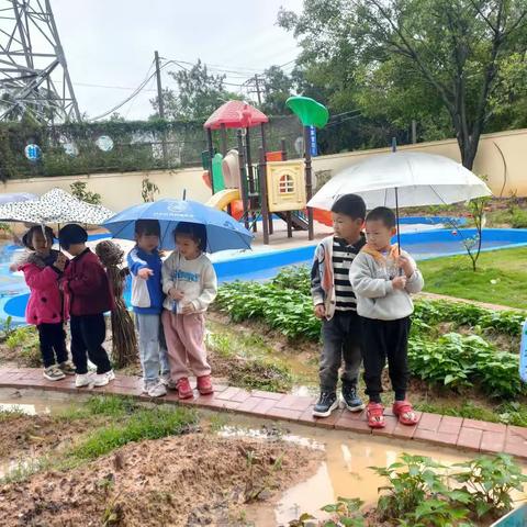 【学前教育宣传月】守护育幼底线 成就美好童年