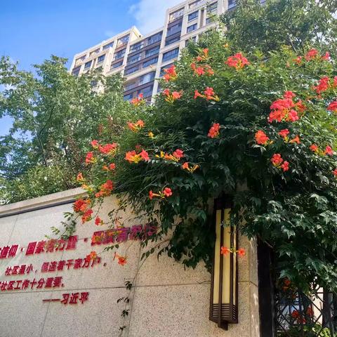 睿怡庭物业服务中心7月份服务简报