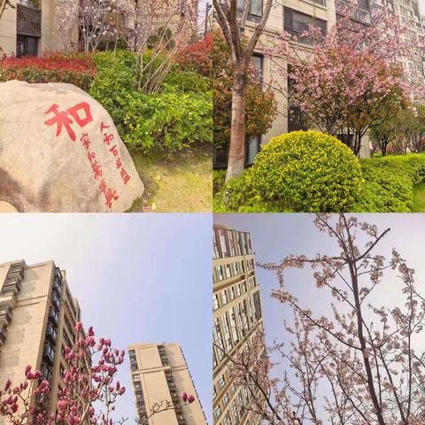 睿怡庭物业服务中心3月份工作汇报