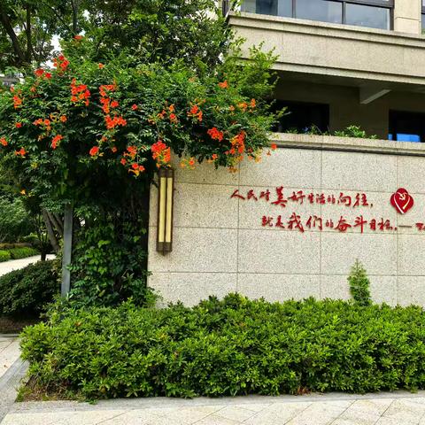 睿怡庭物业服务中心6月份工作汇报