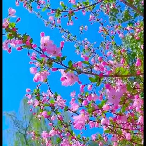 悦读 ·阅爱·越成长 ——马投涧第三中心幼儿园（元二庄园）