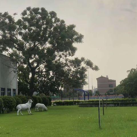 华保盛集团北海市中等职业技术学校物业服务中心10月工作月报