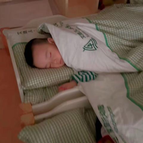 艾迪儿婴幼中心牛津A班第八周美好生活