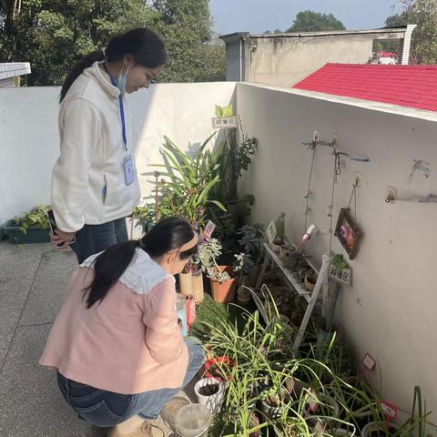 督学领航，笃行致远—源南乡石塘村幼儿园迎接片区督导检查