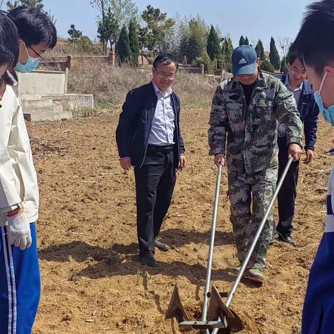 育才中学开展玉米种植活动，学生体验现实版“开心农场”