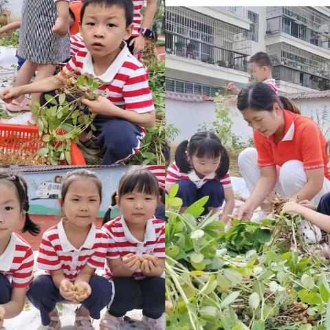 时光恰好，相见金秋-宣化店镇中心幼儿园太阳三班9月精彩瞬间