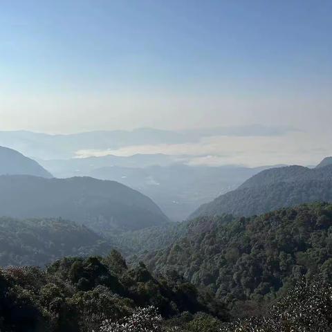 磨盘山的森林里，藏着生活的答案