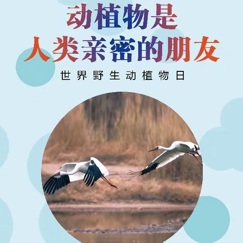 萨镇切特萨尔布拉克小学___"保护野生动植物，从我做起"主题教育活动