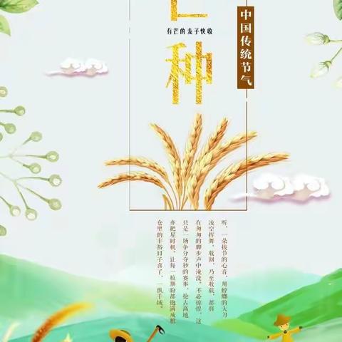 【收获果实，播种努力】           凤凰家苑幼儿园二十四节气之芒种