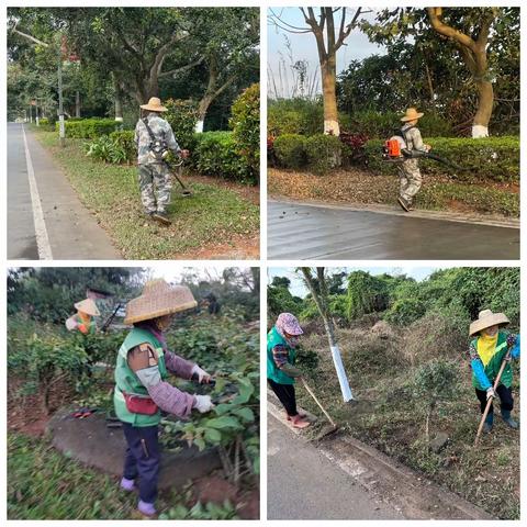 海南省泰源建设集团有限公司1月16日园林工作情况