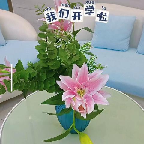 开学第一课《 梦想从这里起航》—大荔县婆合平原小学