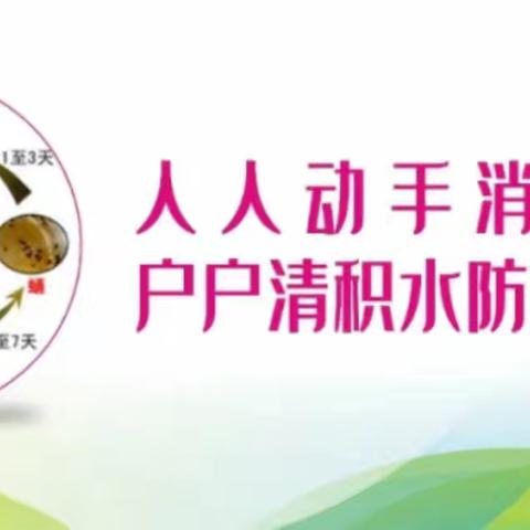 远离登革热 我们在行动——西海岸幼儿园开展预防登革热爱国卫生行动