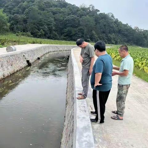 明溪县全面完成水利部遥感图斑核查