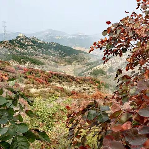 秋穿桃花山张丹顶