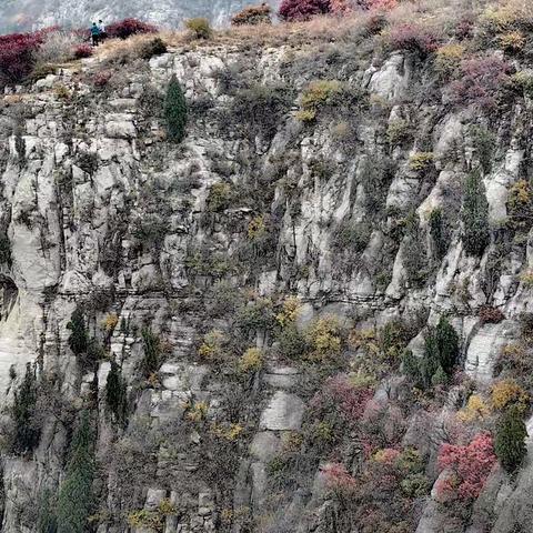 秋染章丘象鼻山