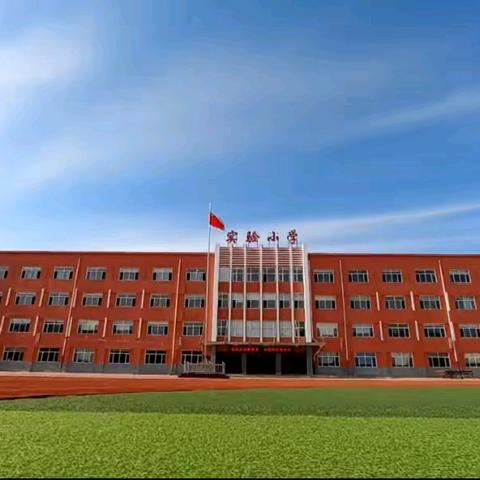 大庆市关工委领导到林甸县实验小学调研