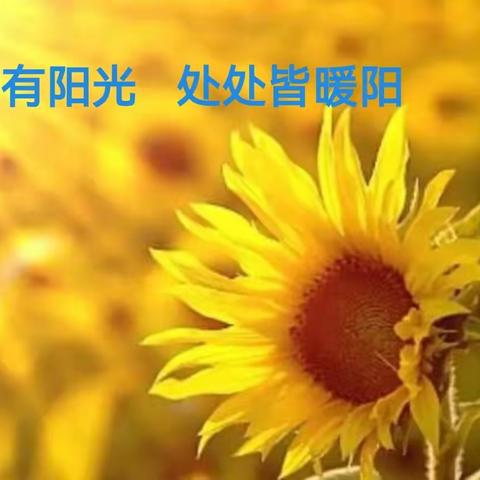 襄垣县一中初中部教研室11月份教研工作汇总