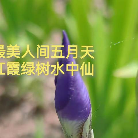 襄垣县一中初中部教研室5月份教研工作汇总