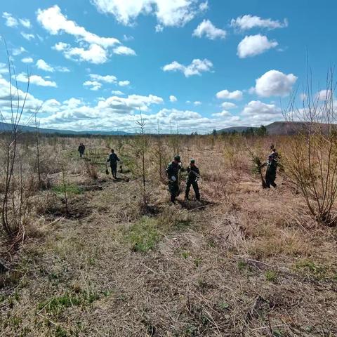 党建引领聚合力 	义务植树添新绿