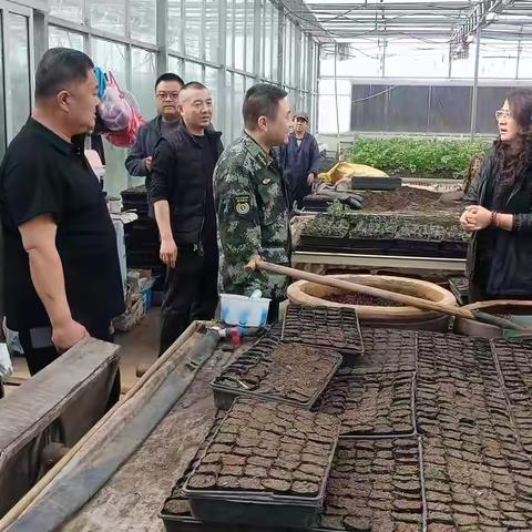 胡晓光副局长调研西伯利亚红松种子催芽培育工作