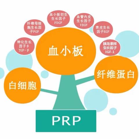 带你认识一下富血小板血浆（PRP)制作过程