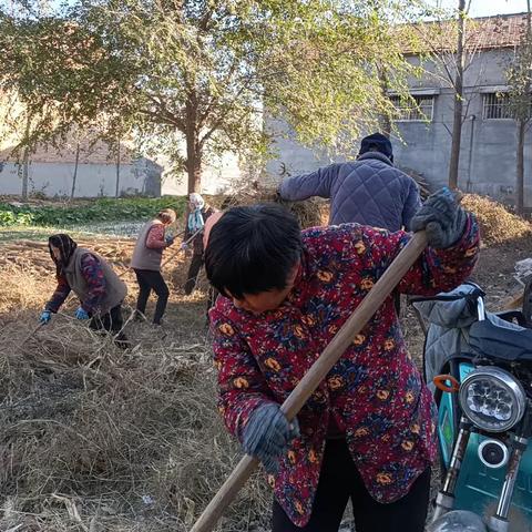 全乡总动员 干群齐上阵——后方乡扎实开展农村人居环境整治提升行动