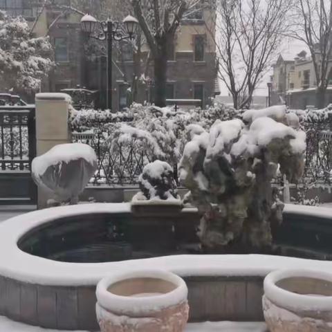 【产业高地 新城圣井】雪舞冬季，共筑家园——蓝海社区扫雪进行时