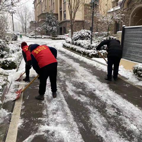 【产业高地 新城圣井】“铲雪除冰 情暖寒冬”蓝海社区网格员在行动