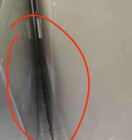 9.7日水果封装间巡场