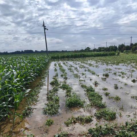 【鹿邑供电】  雨后巡检添愁绪 科技赋能来破局