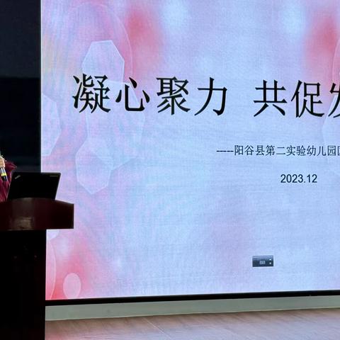 凝心聚力 共促发展——阳谷县第二实验幼儿园区域联合教研活动