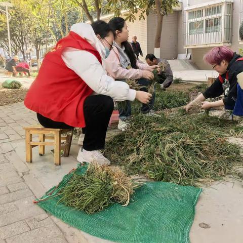 网格力量//“社工+志愿”融合发展志愿行动（四）携手播绿，共筑家园新颜