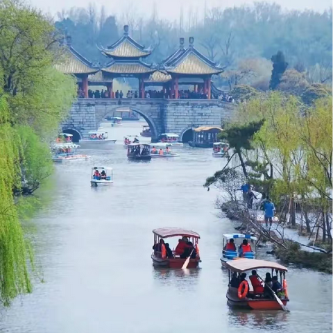 瘦西湖-兴华跺田油菜花海-李中水上森林-东关街-溱湖湿地12天AA自助游（3月12日-3月23日）