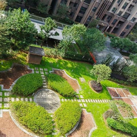 深城投物业—达观学府11月工作简报