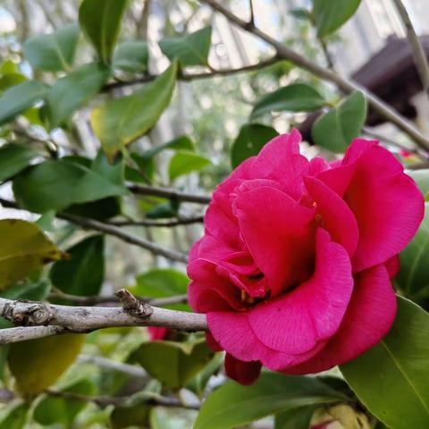 物业月报|深城投物业·达观学府4月工作简报