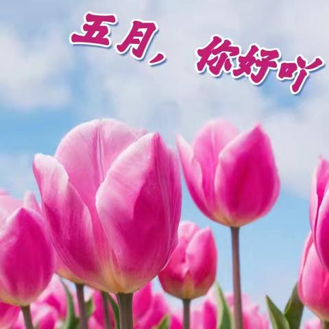 物业月报|深城投物业·达观学府5月工作简报