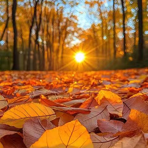 物业月报|深城投物业·达观学府10月工作简报