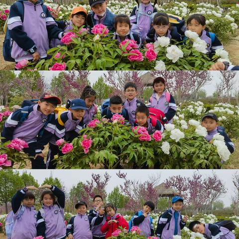 牡丹花开香满园——记红岩小学研学活动