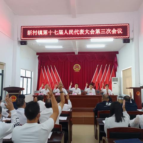 新村镇第十七届人民代表大会第三次会议胜利召开