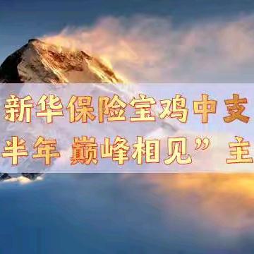 新华保险宝鸡中支“决胜半年 巅峰相见”主管培训顺利召开