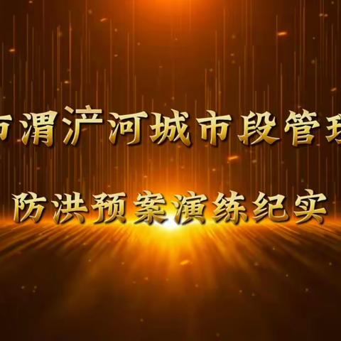 西安市渭浐河城市段管理中心成功举办2023年度渭河西安城市段防洪预案演练