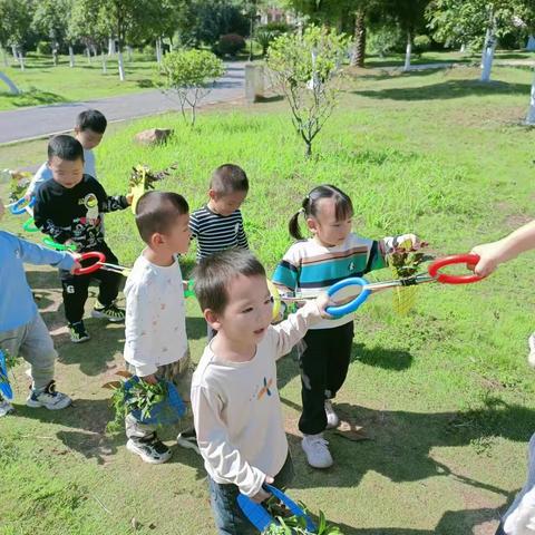 🎈童趣时光，☀️温暖相伴——金峰幼儿园十月成长记录