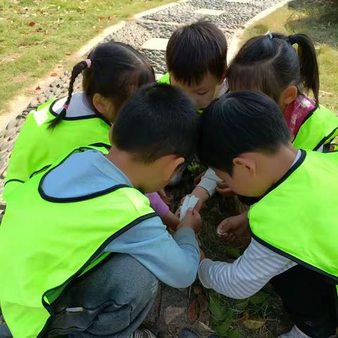 时光有你，快乐成长🎈 金峰幼儿园十一月回顾🎈