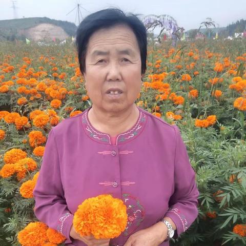写给妈妈的一封信