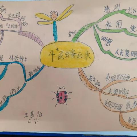 跟着课本学制作——东方市第三小学三（1）班语文实践活动