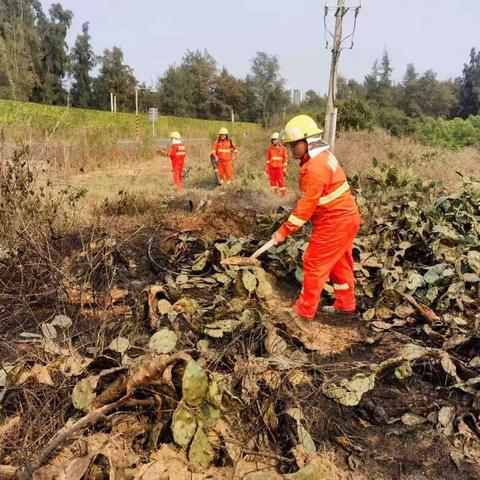 昌拱村“六项措施“做好清明节期间森林防灭火工作