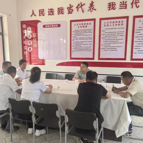 杨安乡开展“代表进站入点听民意解民忧”主题活动