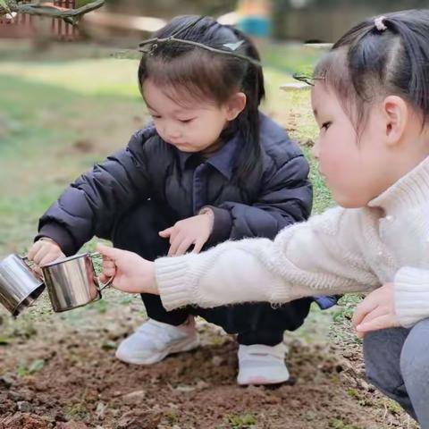 【林旭幼儿园🌳植树节主题活动——植树爱树，“树”你最棒】