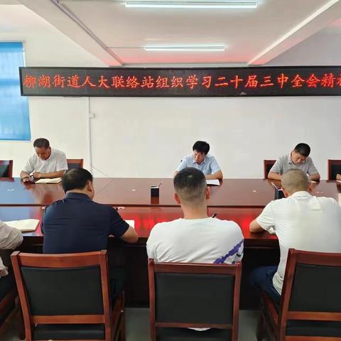 柳湖街道人大联络站组织代表学习党的二十届三中全会精神